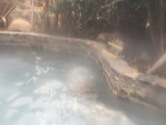 -深业半汤御泉庄温泉