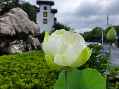 -无锡蠡湖国家湿地公园-蠡园