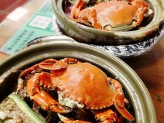 -崖口煲仔饭