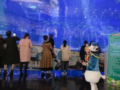 -成都浩海立方海洋公园