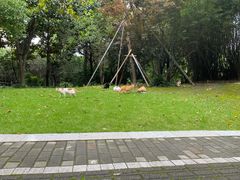 -苏州河梦清园环保主题公园