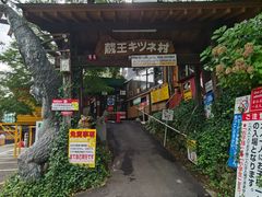 -宫城藏王狐狸村