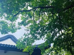 -幕燕滨江·燕子矶公园