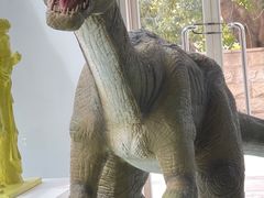 -成都泰迪熊博物馆