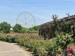 -石家庄市植物园