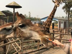 -西安秦岭野生动物园