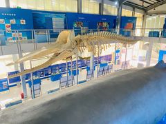 -上海海洋大学鱼文化博物馆(军工路校区)