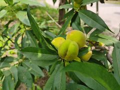-北京植物园南门售票处