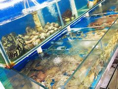 -金渔村海鲜烧烤大排档