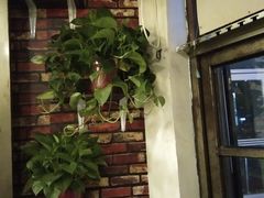 门面-超越炭火牛蛙火锅鸡(河东店)