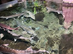 -南昌海洋公园
