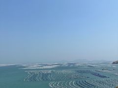 -枸杞岛