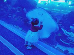 -成都浩海立方海洋公园