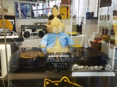 -浣熊唱片店(上海影城店)