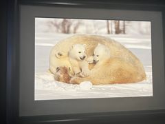 -罗红摄影艺术馆