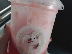 -Husky Go! 哈士奇体验馆·宠物咖啡厅狗咖