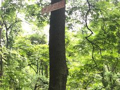 -重庆歌乐山烈士陵园