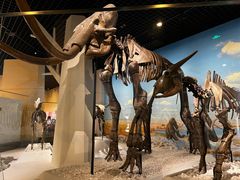 -国家自然博物馆