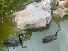 -昆明动物园