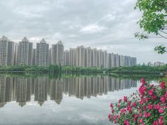 -成都南湖公园