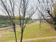-洨河生态公园