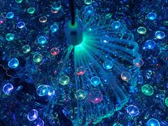 -深圳独角兽星空艺术馆