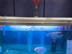 -梵SPA·影院足道·采耳(西藏北路店)