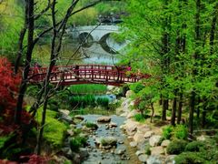 -大连植物园