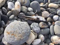 -七星潭蓝天广场