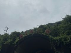 -816工程景区