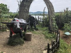 -天目湖山水园
