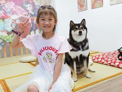 -柴迷FANS CLUB·柴犬狗咖·猫咖