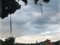 -青礁慈济宫
