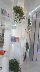 -小齐发型Star~salon