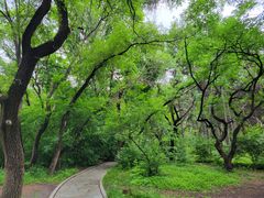 -长春市南湖公园