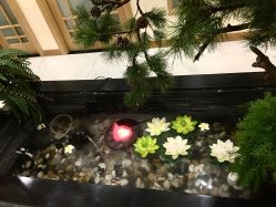 -芳朵美容养生SPA