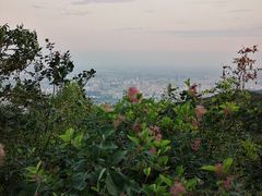 -鬼笑石后山停车场