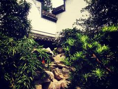 -不倒翁·徽天下名菜楼(马鞍山路店)