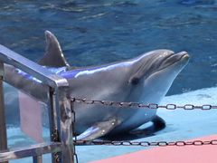 -福州罗源湾海洋世界旅游区