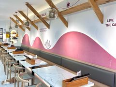 -喵园·猫主题咖啡厅·撸猫·猫咖(国贸店)