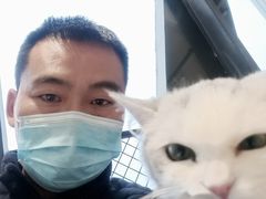 -怪兽屋·羊驼·猫咖·狗咖(俊华广场店)