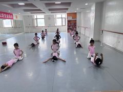 -西安小天鹅艺术团(金花路校区)