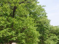 -沂蒙山旅游区云蒙景区(蒙山国家森林公园)