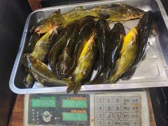 -老渔翁炖鱼坊(黄海西路东山店)