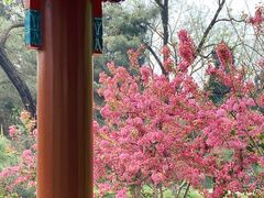 -宣武艺园
