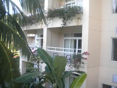 -三亚亚龙湾金棕榈度假酒店