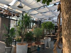 -北马山庄植趣咖啡