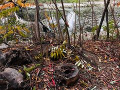 -长白岛森林公园