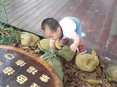 -万绿园