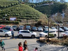 -心无尘茶餐馆(径山村店)